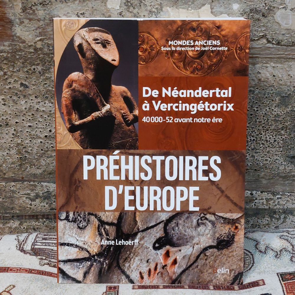Préhistoires d'Europe. De Néandertal à Vercingétorix - Association des  Professeurs d'Histoire et de Géographie